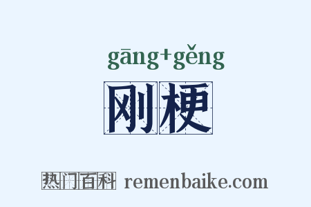 刚梗是什么意思的图片